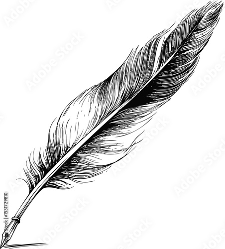 Elegant quill pen sketch in monochrome with detailed feather design. Vector illustration
