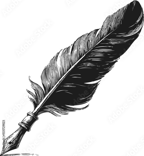 Black and white ink illustration of a vintage quill pen with detailed sketch feather. Vector illustration