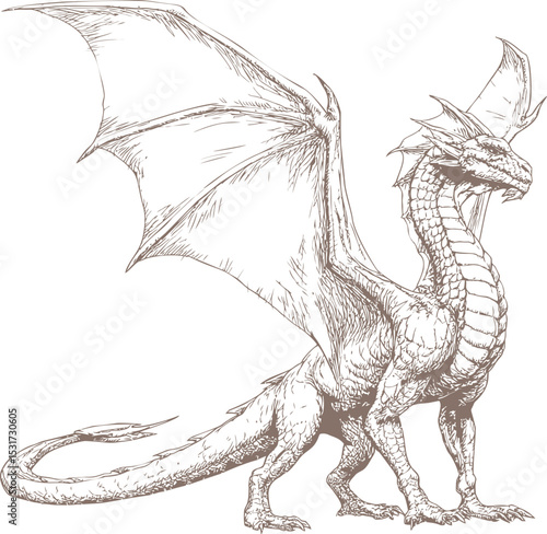 Detailed sketch of a majestic dragon with large wings and intricate scales. Vector illustration