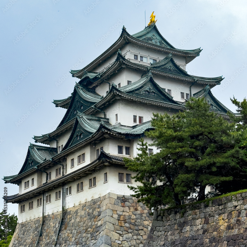 Fototapeta premium 日本周遊 雨の名古屋城