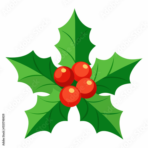 Illustration of Holly Berries and Leaves for Christmas Decoration Festive Holiday Season and Winter Celebration Isolated on a White Background