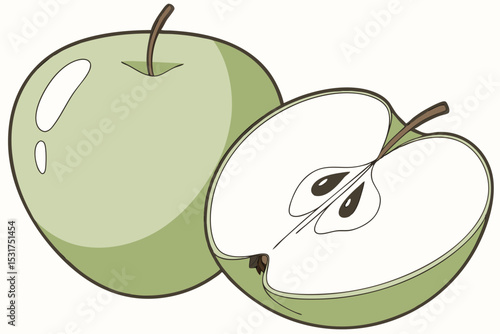 Illustration of a whole and halved green apple
