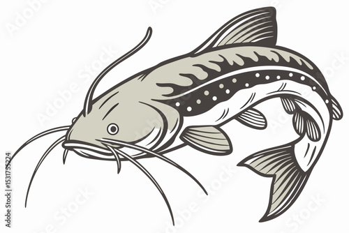 Detailed illustration of a catfish