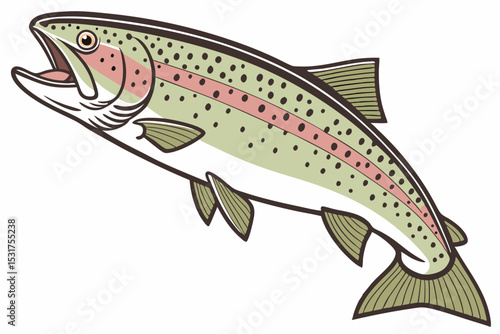 Illustration of a leaping rainbow trout