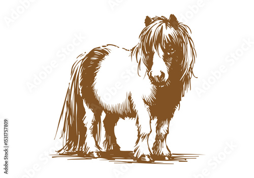 Shetland pony hand drawn sketch vector illustration