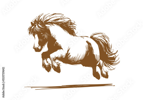 Shetland pony hand drawn sketch vector illustration
