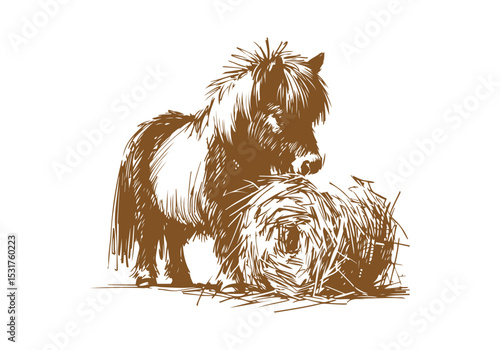 Shetland pony hand drawn sketch vector illustration