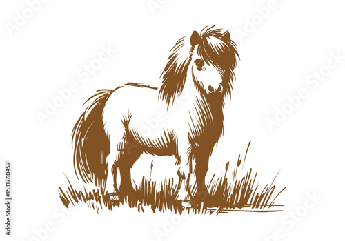 Shetland pony hand drawn sketch vector illustration