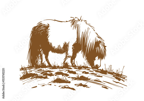 Shetland pony hand drawn sketch vector illustration