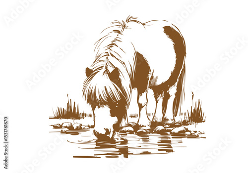 Shetland pony hand drawn sketch vector illustration