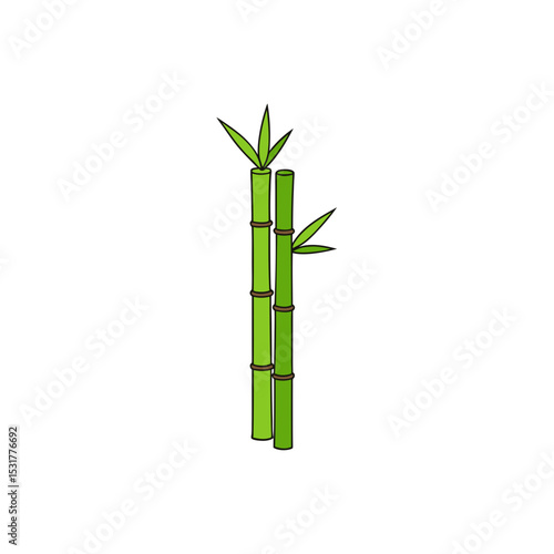 realistic bamboo stalks on white background  
