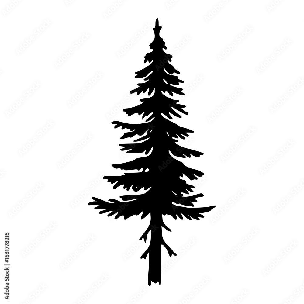 Fototapeta premium pine forest tree vector