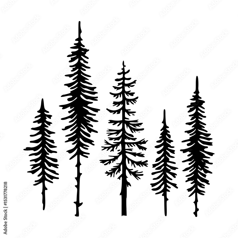 Obraz premium pine forest tree vector