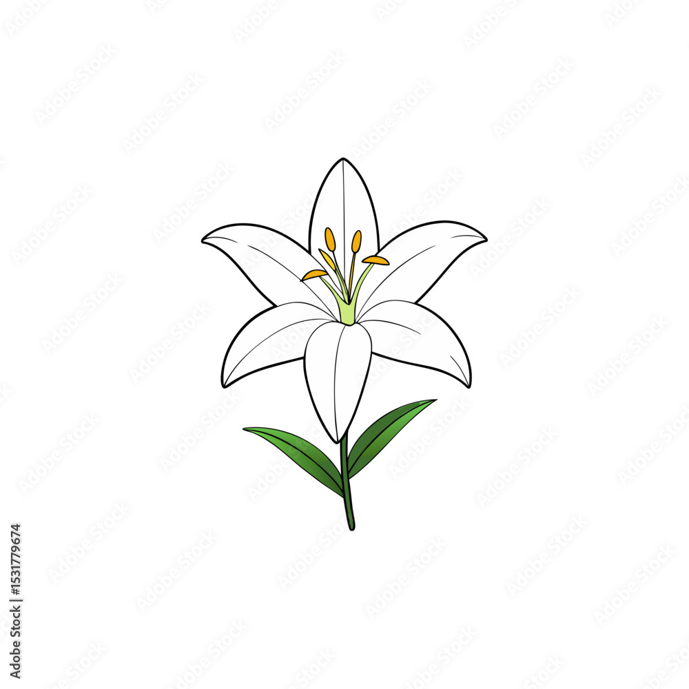 Naklejka premium realistic lily flower blooming on white background 