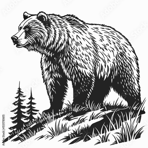 "Majestic Bear in Forest: Woodland Wildlife Scene Vector Art"