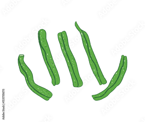 Raw fresh green green beans
