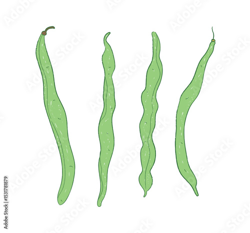 Raw fresh green green beans