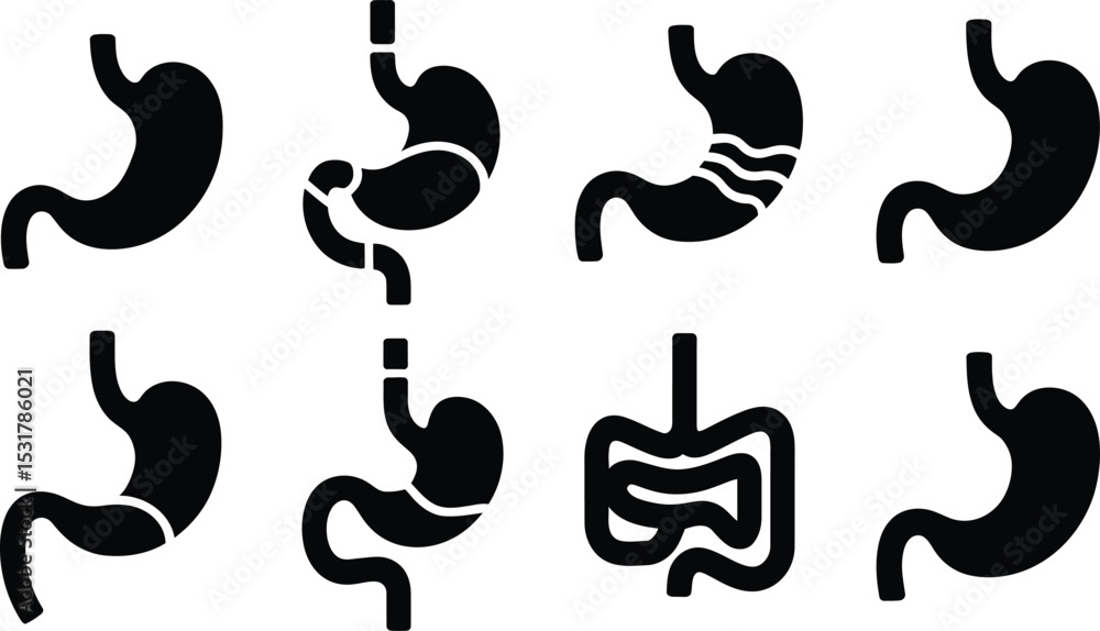 Collection of black and white stylized illustrations depicting the human stomach and digestive system components Collection of black and white stylized illustrations depicting the human stomach and digestive system components
