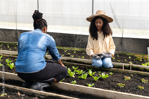 Children learn to grow vegetables and collect data from experimental vegetable plots in a temperature-controlled greenhouse.