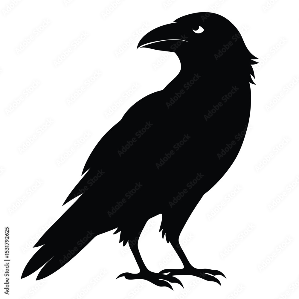 Fototapeta premium raven on white background