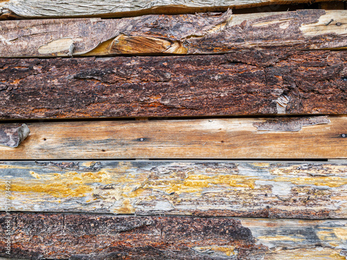 Textura de troncos rústicos con corteza agrietada
