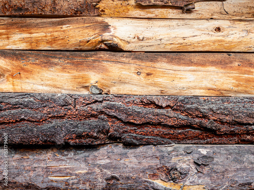 Textura de troncos rústicos con corteza agrietada