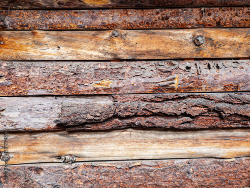 Textura de troncos rústicos con corteza agrietada