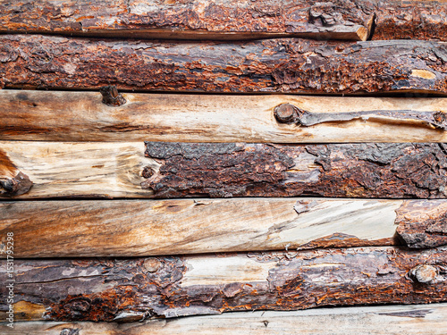 Textura de troncos rústicos con corteza agrietada
