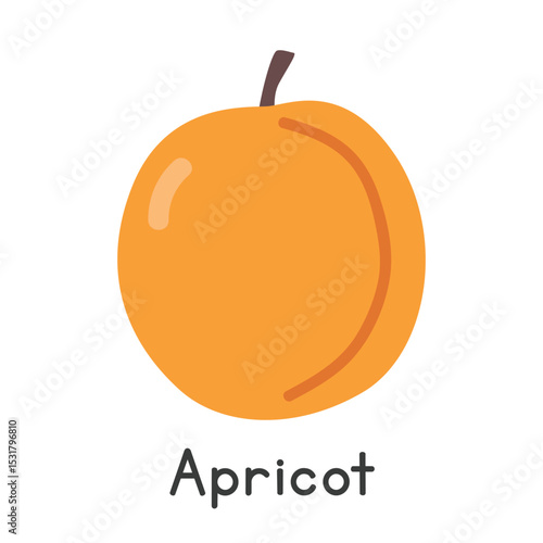 Apricot flat vector illustration. Orange apricot or Armenian plum cartoon clipart style. Also known as Abricot, Albaricoque, Khubani, or Prunus armeniaca. Common fruit and Stone fruit concept