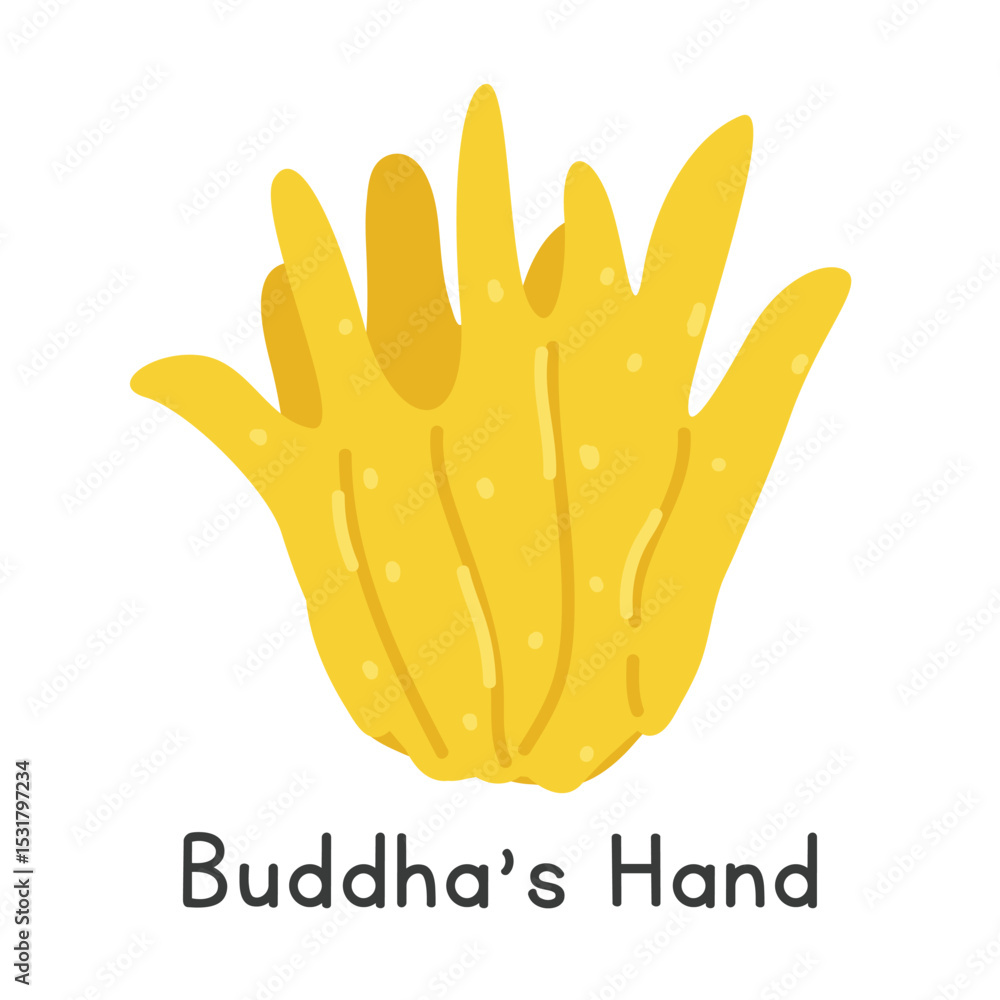 Obraz premium Buddha's hand flat vector illustration. Yellow Buddha's hand fruit cartoon clipart style. Also known as fingered citron, hand of Buddha, bushukan, sarcodactylis, or Citrus medica var. sarcodactylis