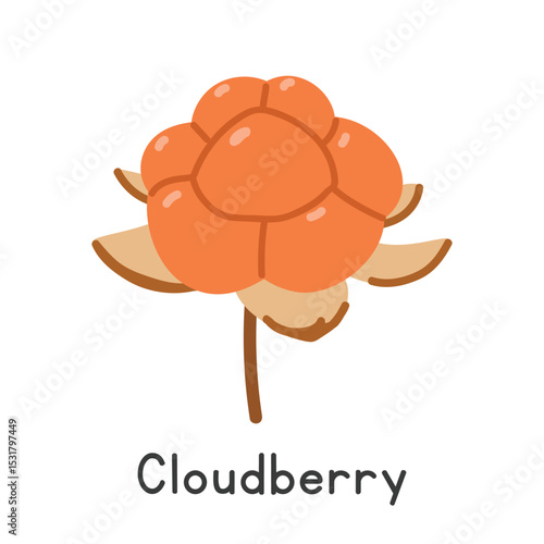 Cloudberry flat vector illustration in cartoon clipart style. Also known as salmonberry, yellowberry, bakeapple, malka, baked apple berry, Nordic berry, knotberry, aqpik, bakeapple, averin berry