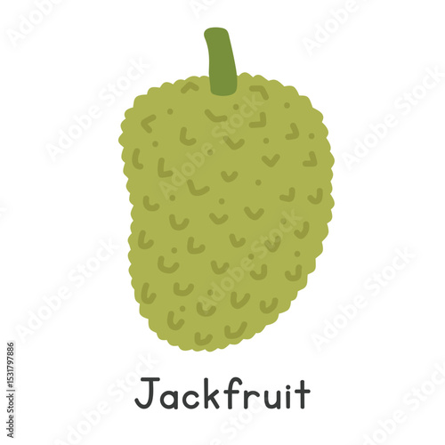 Jackfruit flat vector illustration. Jackfruit cartoon clipart style isolated on white background. Also known as jack, jak, nangka, kathal, jaca, khanun, mit, or tree mutton. Tropical and Exotic fruit