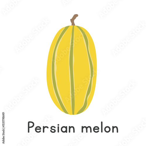 Persian melon flat vector illustration. Yellow Persian melon with green stripes cartoon clipart style isolated on white background. Melon and Gourd concept