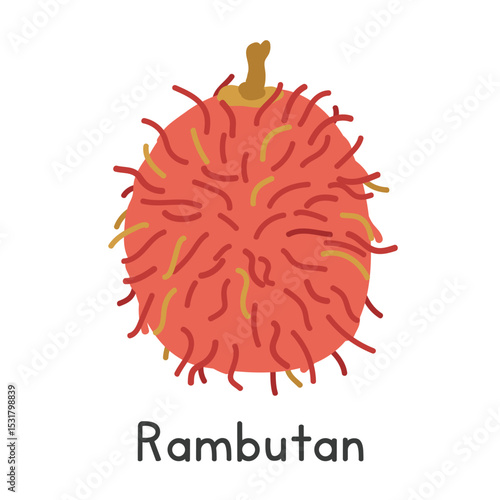 Rambutan flat vector illustration. Rambutan fruit cartoon clipart style isolated on white background. Tropical and Exotic fruit concept