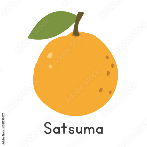 Satsuma flat vector illustration. Satsuma cartoon clipart style isolated on white background. Citrus fruit concept