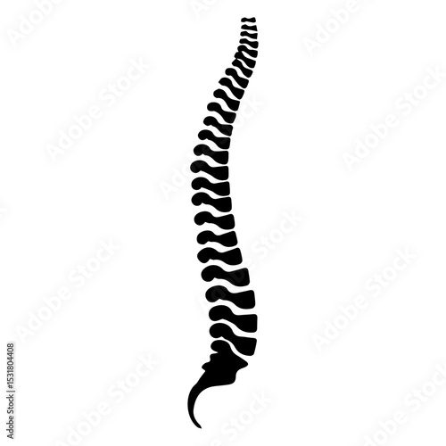 spine icon