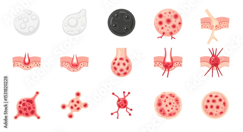 Vector Icons Set of Diverse skin conditions and cellular structures including cysts follicles and melanomas. Vector Illustrations