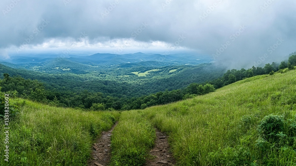 Mountaintop Grassland Trail Mountaintop Grassland Trail