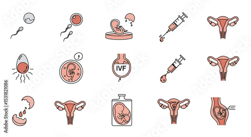 Vector Icons Set of In Vitro Fertilization Stages A Simplified Visual Guide to Conception. Vector Illustrations