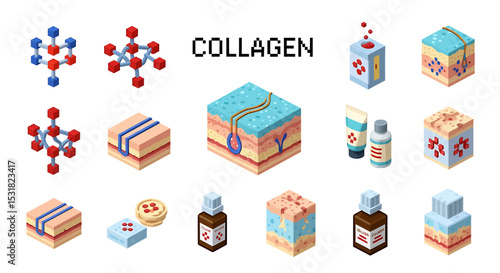 Vector Icons Set of Isometric Illustrations of Collagen Structures Skin Layers and Skincare Products. Vector Illustrations