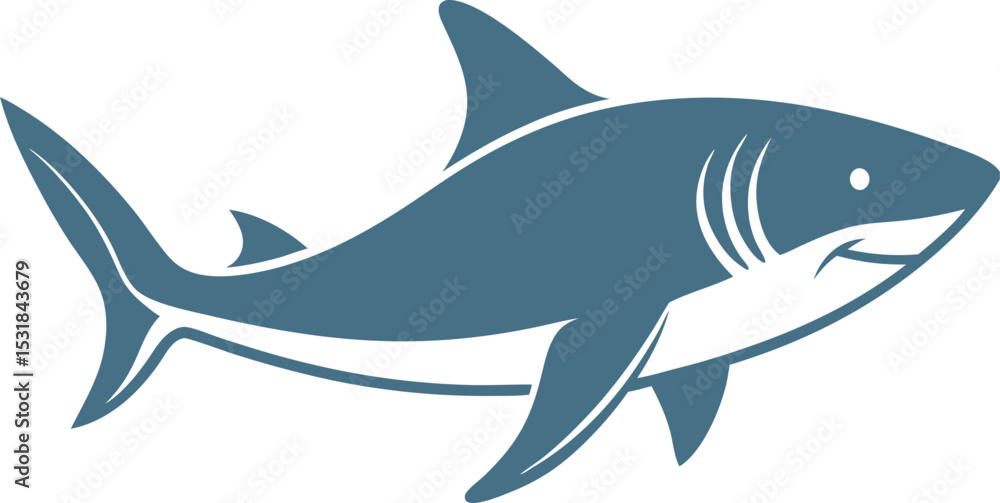 Fototapeta premium vector illustration of a shark