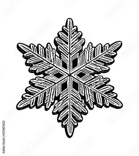 Detailed Engraving Style Illustration of a Single Snowflake on White Background