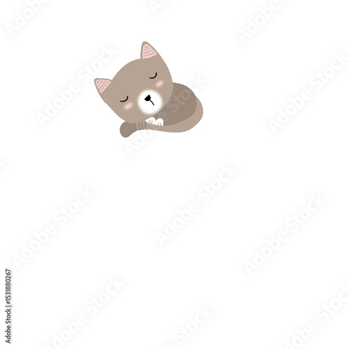 Sleeping cat cartoon illustration