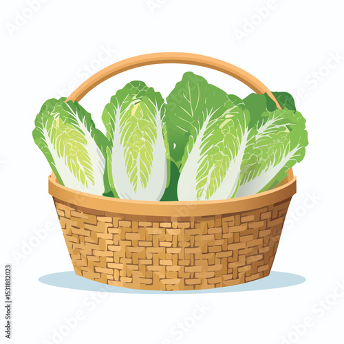 Napa Cabbage in a basket Flat Vector Art with Clean Design and Minimal Detailing