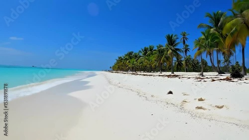 Tropical white sand beach with clear turquoise water and palm trees under blue sky