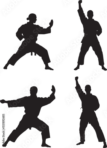 Martial arts silhouette vector illustration