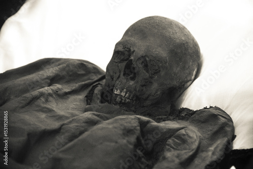 Mummified skulls in a crypt