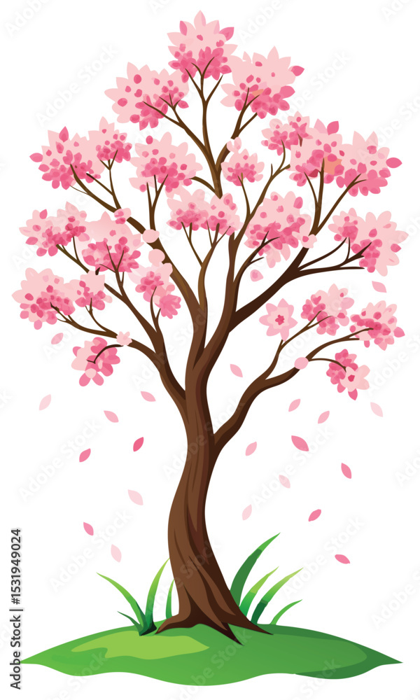 Fototapeta premium Beautiful Flowering Cherry Blossom Tree Vector.