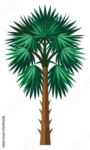 Palmetto Tree Vector with Distinct Fronds.
