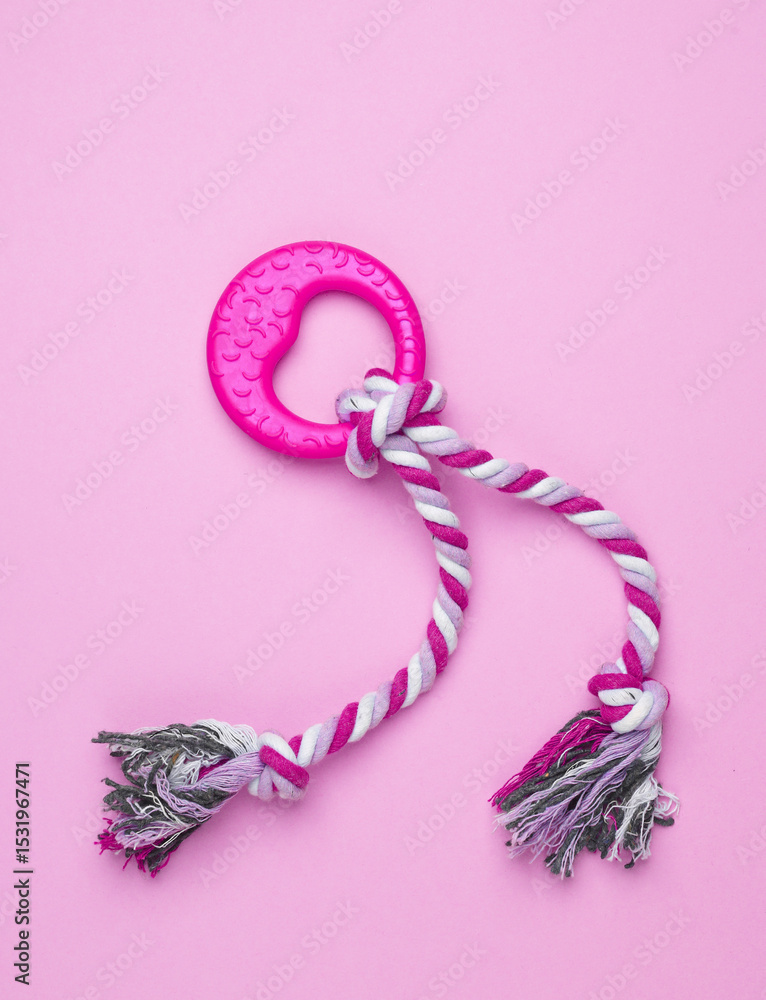 Fototapeta premium Dog rubber toy with rope on pink background